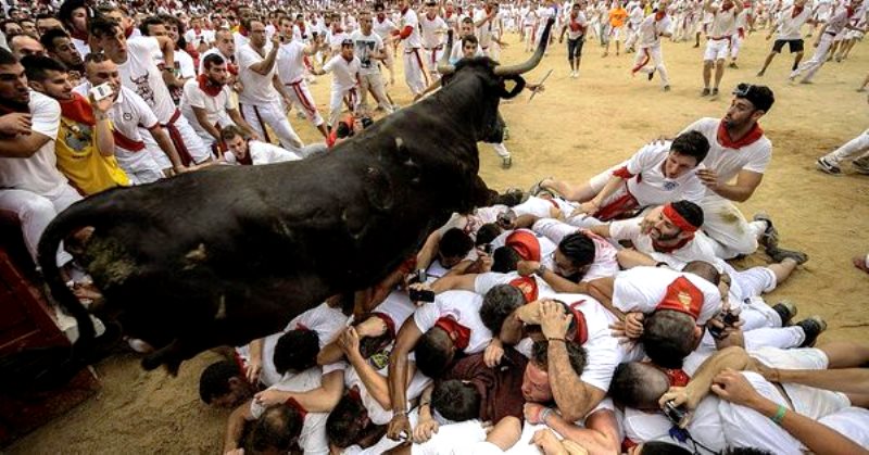 В Испании во время забега быков пострадали четыре человека