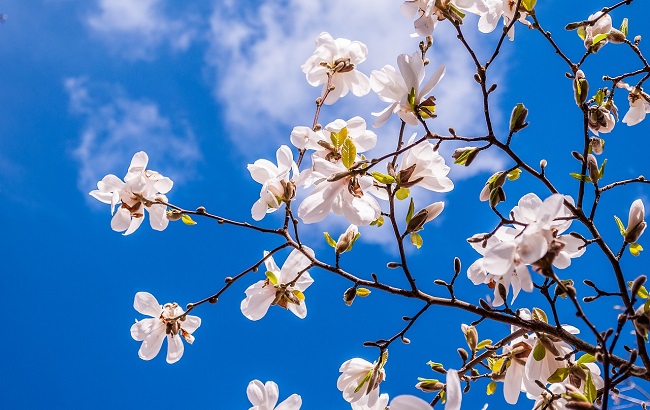 Синоптик напугала украинцев прогнозом погоды на Пасху