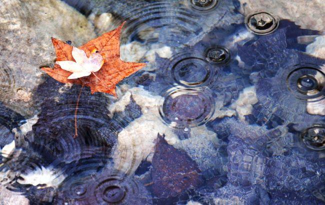 Итоги дня: 11 сентября