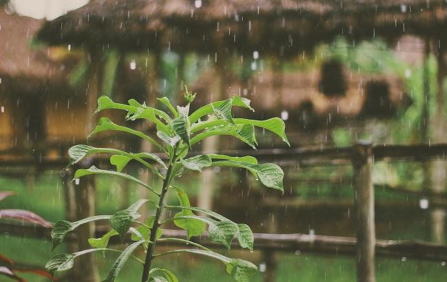 Підсумки дня: 19 травня