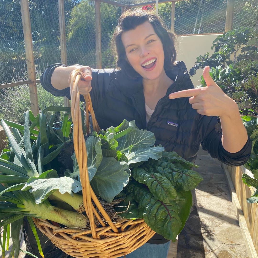 Взяти на замітку: 44-річна Міла Йовович розкрила секрет бездоганної шкіри