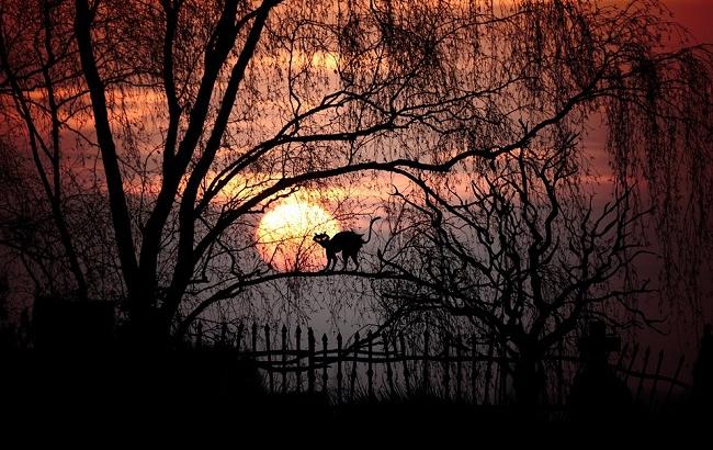 Пятница 13-го: что нельзя делать сегодня, чтобы не навлечь беду