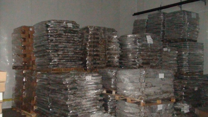 СБУ блокировала масштабный незаконный вылов рыбы в акватории Азовского моря