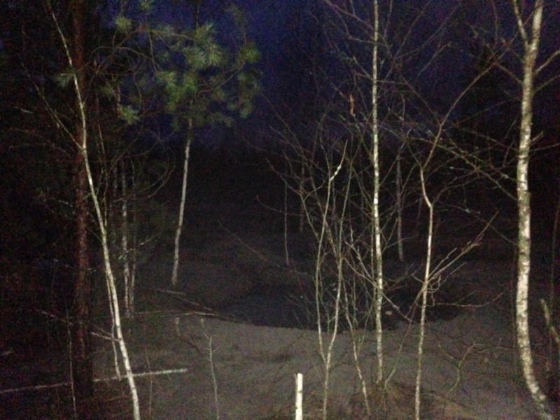 В Житомирской области пограничники задержали 9 копателей янтаря