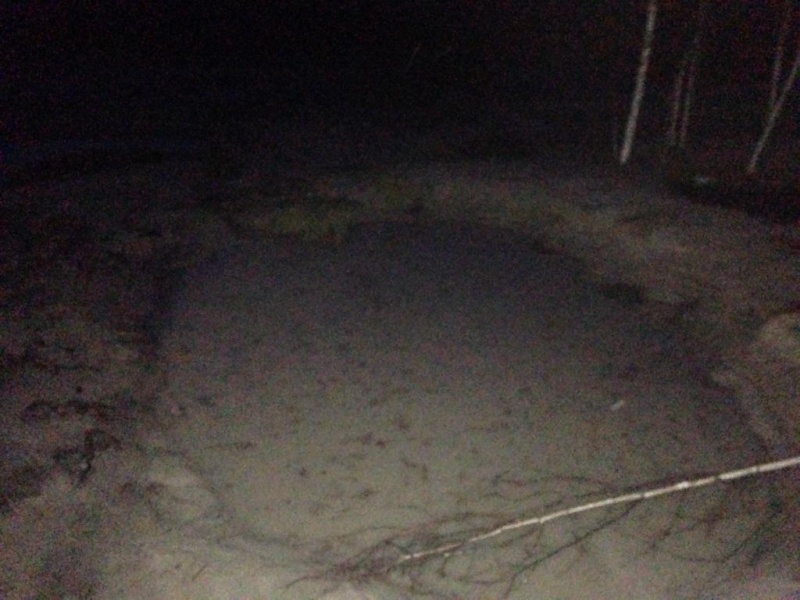 В Житомирской области пограничники задержали 9 копателей янтаря