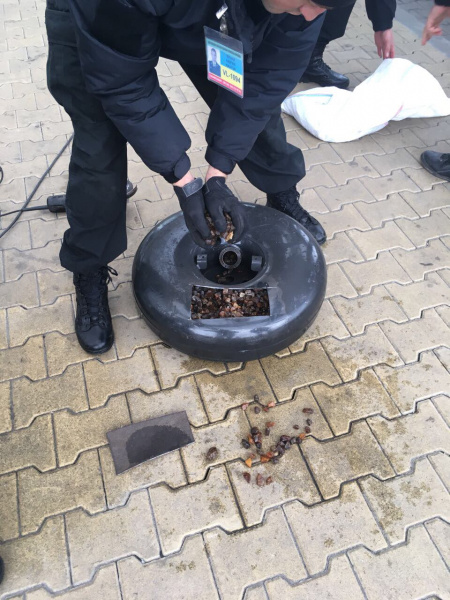 Пограничники пресекли контрабанду янтаря на границе с Польшей