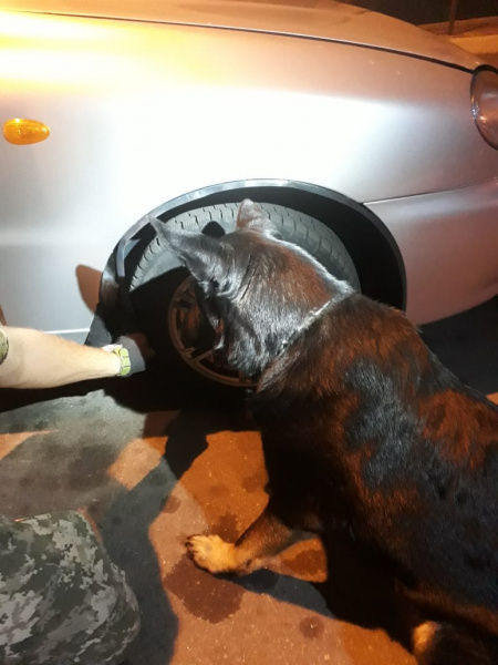 Украинец пытался вывезти в РФ партию наркотиков