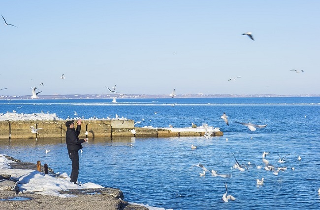 Одесса на Новый год