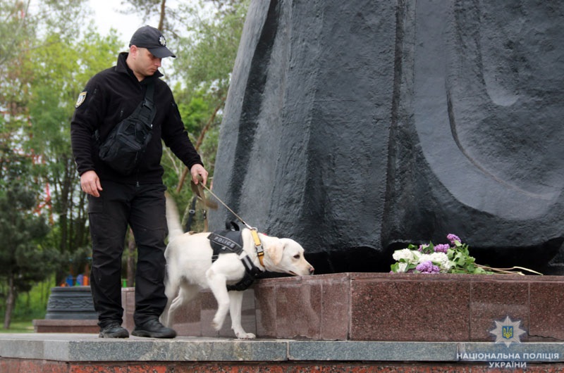 В Донецкой области оштрафовали митингующих за георгиевские ленты на 9 мая
