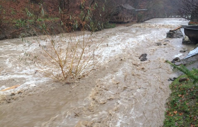 В Закарпатской области фиксируют крупнейший за 10 лет паводок