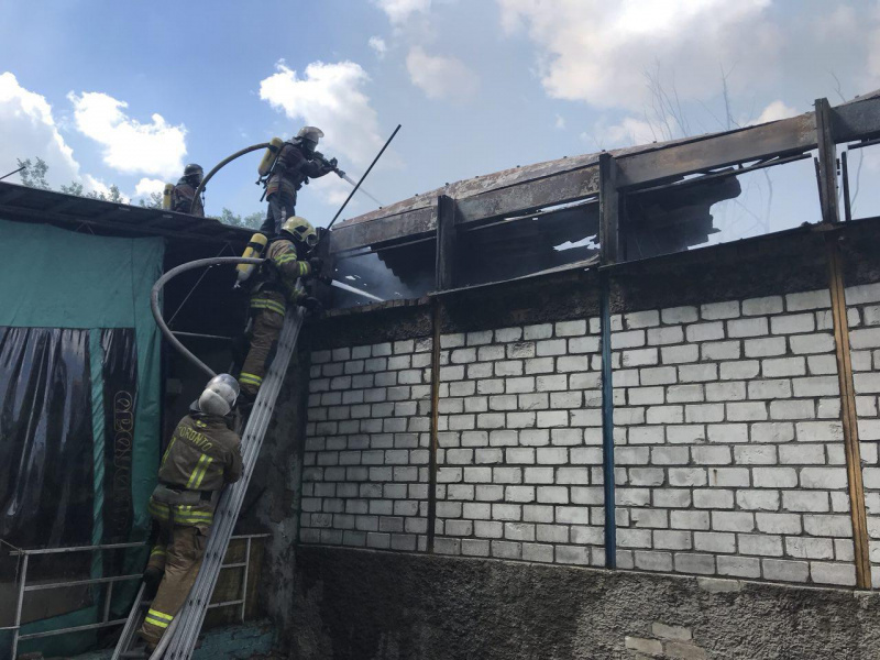 Пожар в Гидропарке: в ГСЧС сообщили подробности