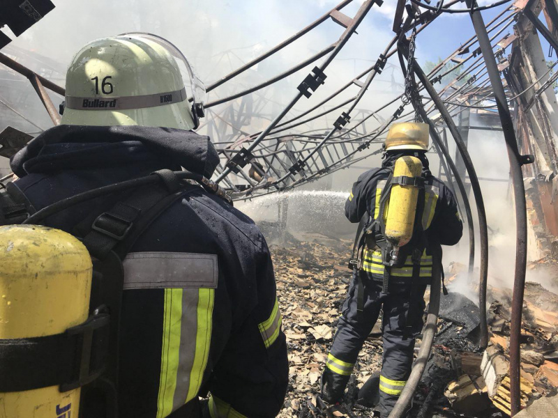 Пожар в Гидропарке: в ГСЧС сообщили подробности