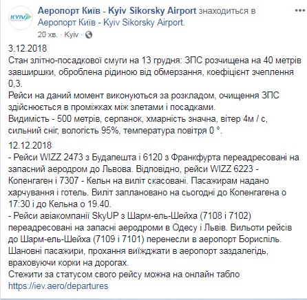 В аэропорту "Киев" рассказали о ситуации с рейсами в условиях снегопада