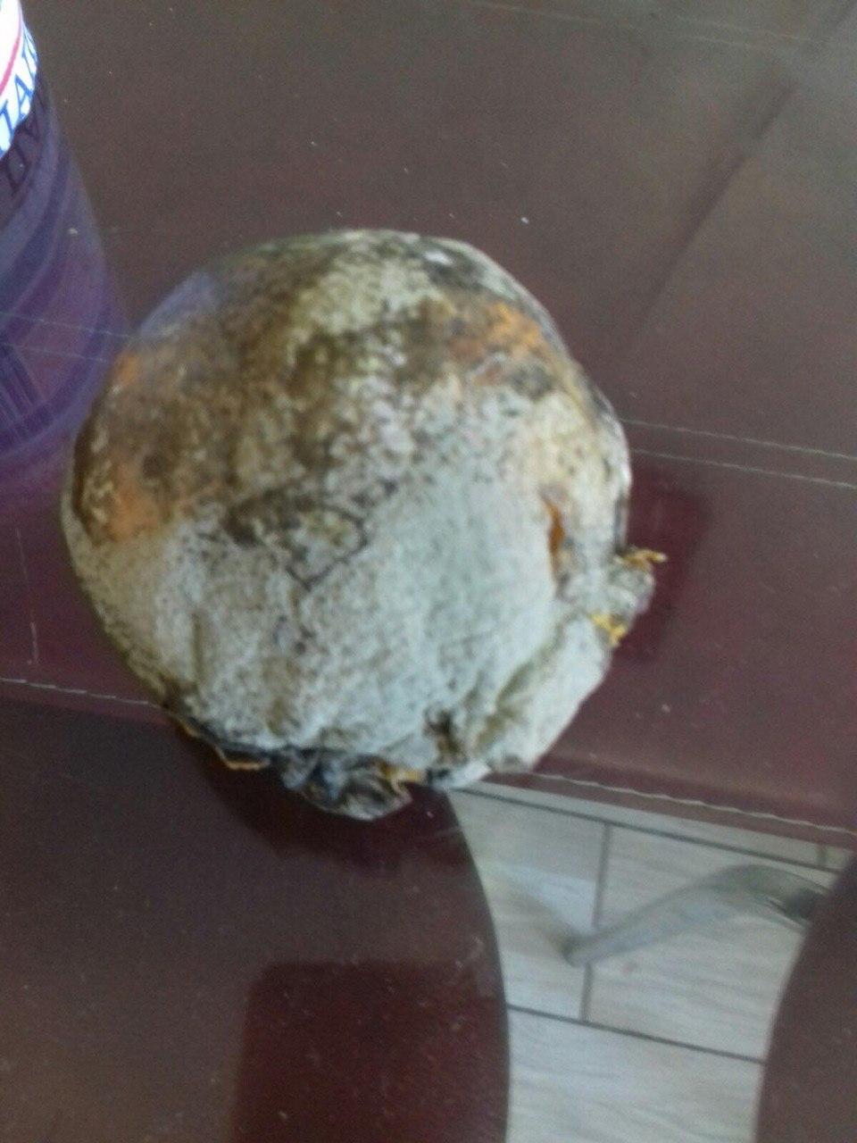 Найнедолугіший підкуп виборців: на Закарпатті пенсіонерам роздають гнилі апельсини