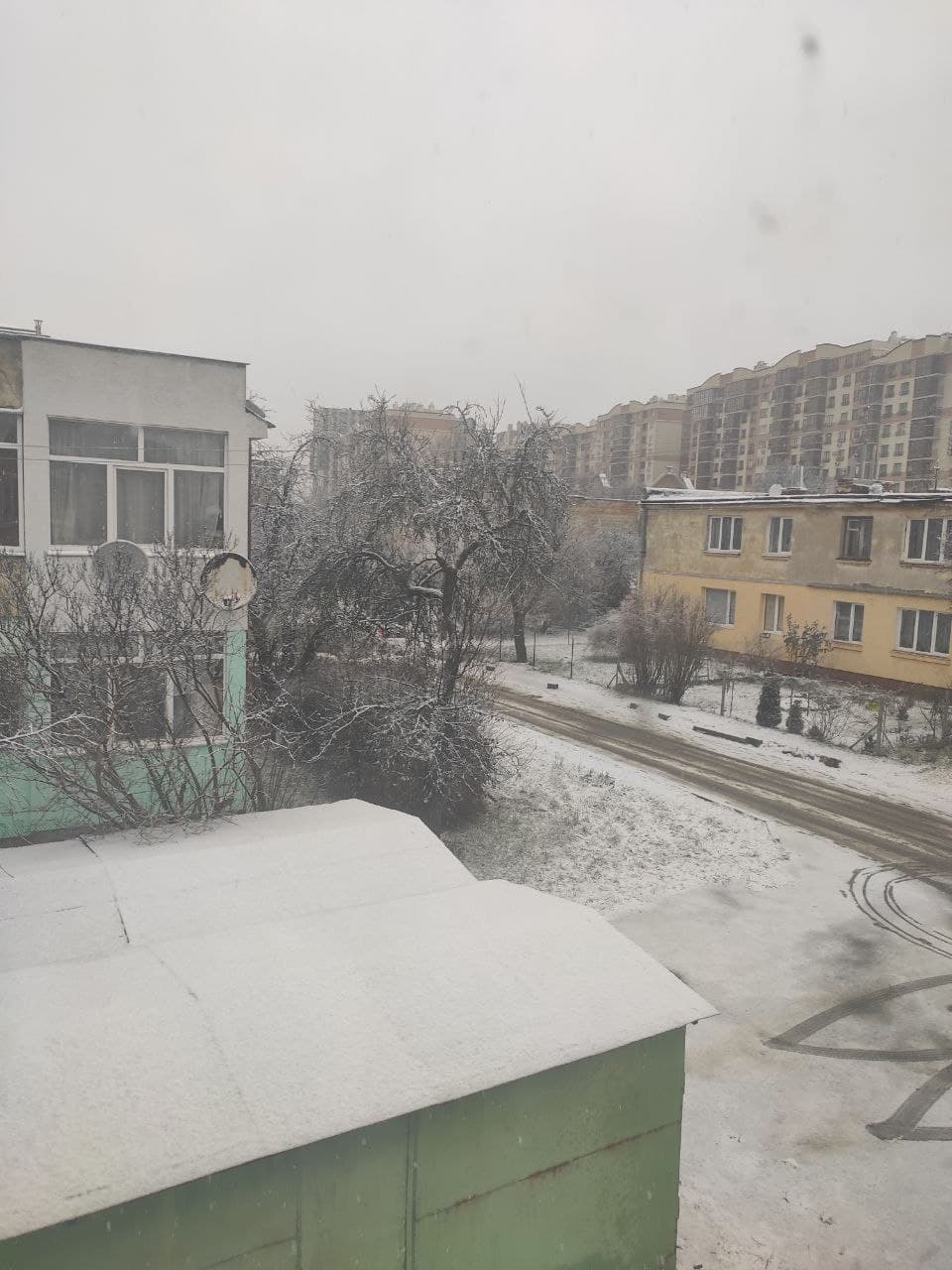 Запад Украины на Рождество засыпало снегом: сказочные фото и видео