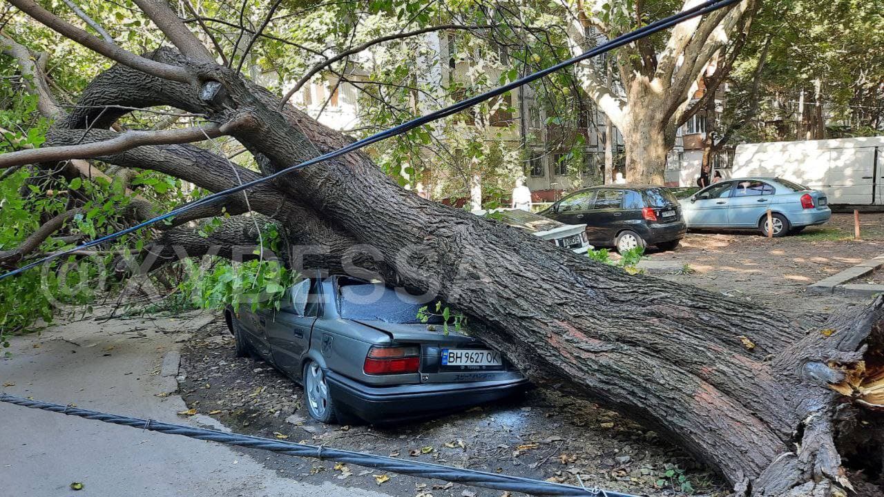 Сильний вітер в Одесі накоїв лиха: дерево розчавило три легковики (фото)