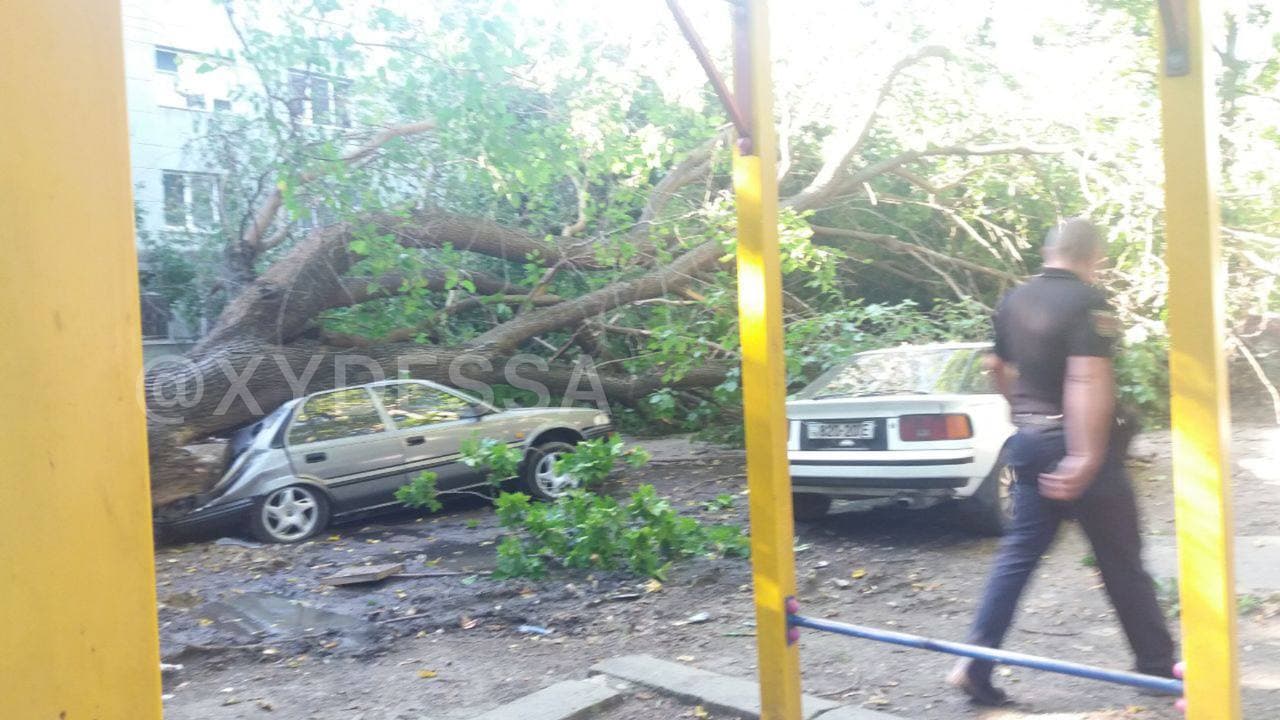 Сильний вітер в Одесі накоїв лиха: дерево розчавило три легковики (фото)