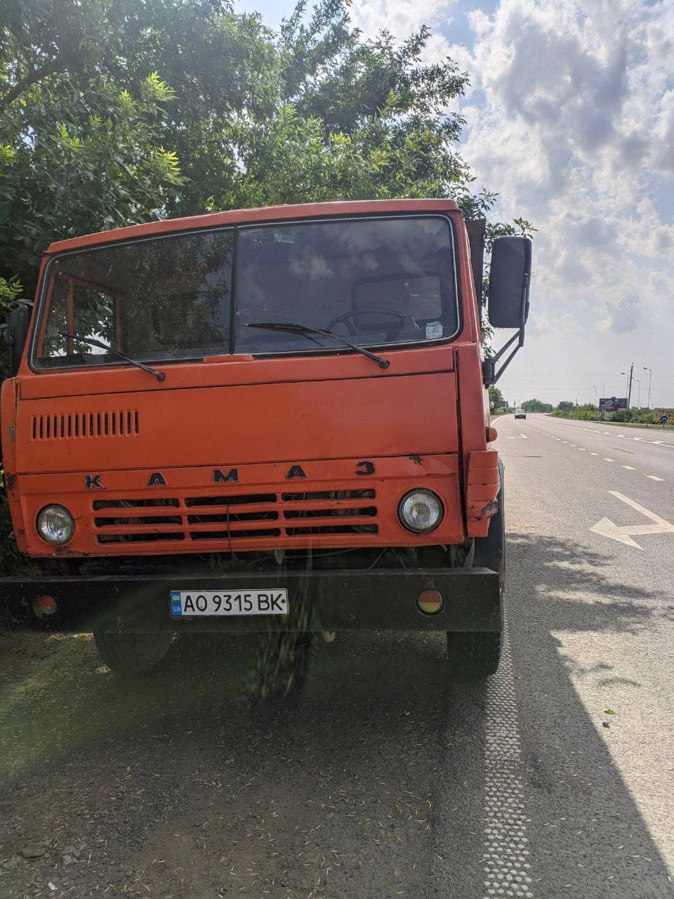 На Закарпатье из грузовика на дорогу высыпались дохлые куры: фото поражают