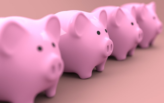 В год Свиньи удача ждет тех, кто умеет экономить