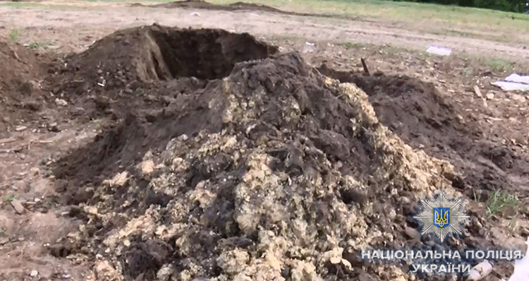 Под Киевом за организацию птичьего могильника задержали владельцев агрохолдинга