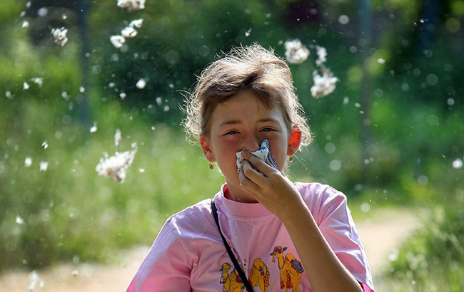 Залиште дерева в спокої: Супрун зруйнувала популярний міф про алергії