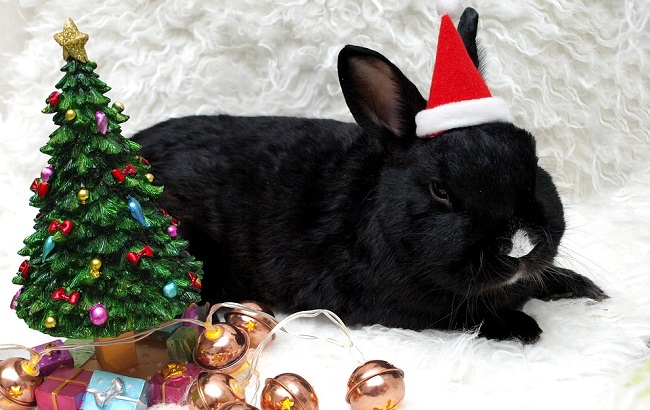 Ілюстративне фото