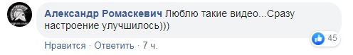 Красиво горит: ВСУ уничтожили дом одного из "министров" боевиков "ДНР" (видео)