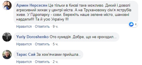 Хорошо, что не крокодил: в Раде завелось дикое животное (видео)