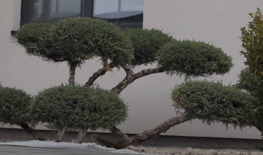 Дорофеева показала дом, в котором живет с Дантесом: "лучшее решение в нашей жизни"