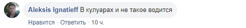 Хорошо, что не крокодил: в Раде завелось дикое животное (видео)