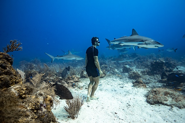 Фридайвер из Днепра установил рекорд США: Новая цель — "побить" россиянина