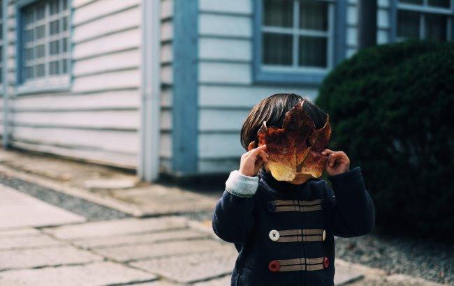 Итоги дня: 27 октября