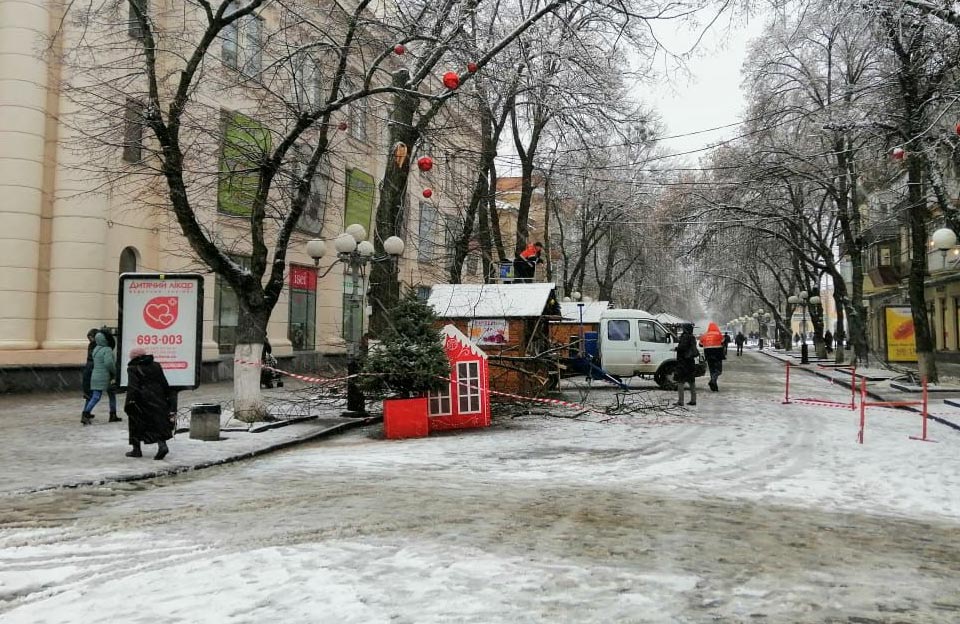 Дерева падають на авто: Полтава страждає від потужного снігопаду