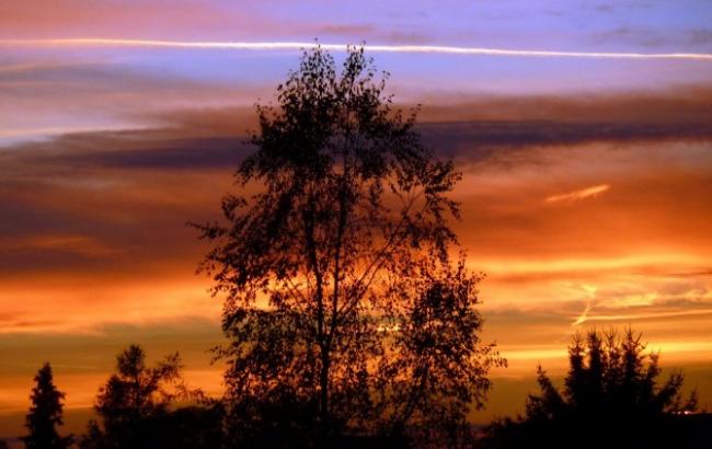 Підсумки дня: 19 жовтня