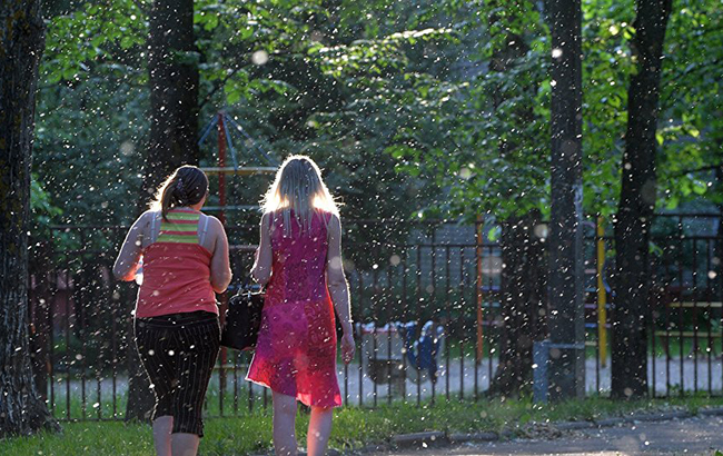 Залиште дерева в спокої: Супрун зруйнувала популярний міф про алергії