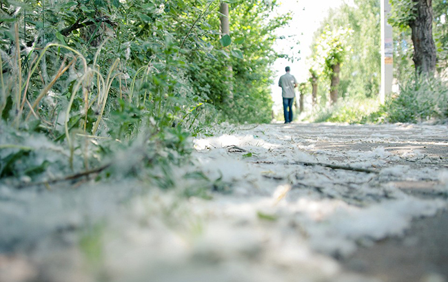 Залиште дерева в спокої: Супрун зруйнувала популярний міф про алергії