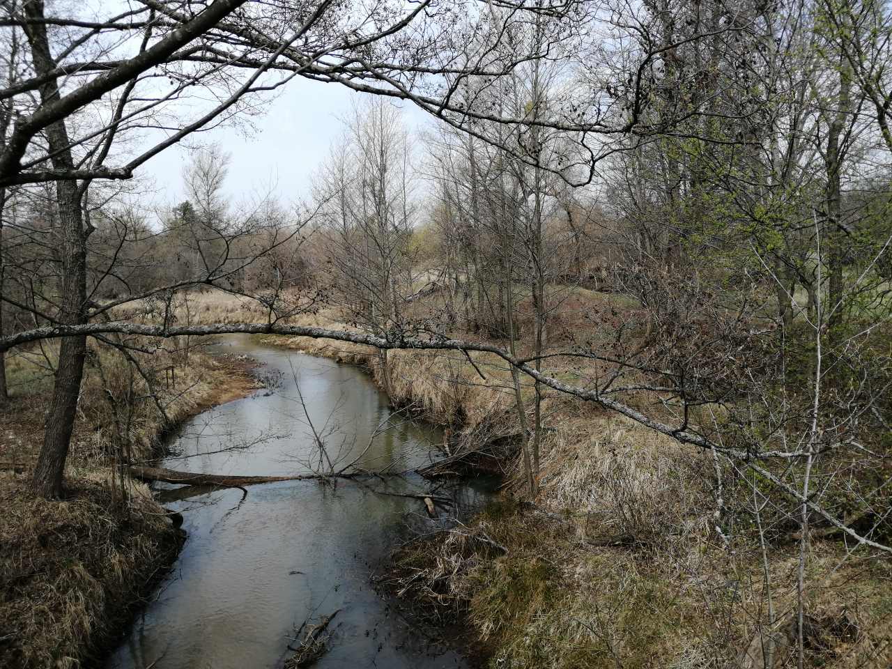 Опубликованы фото и видео последствий пожара в Чернобыльской зоне