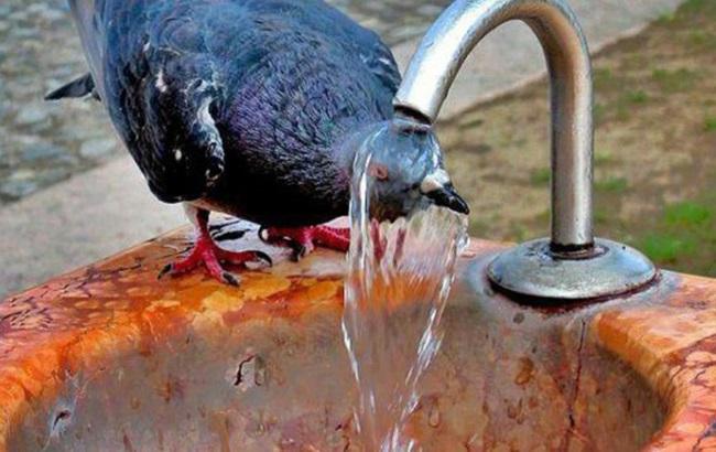 Грозы не стихнут: украинцам рассказали, какие области зальет дождями