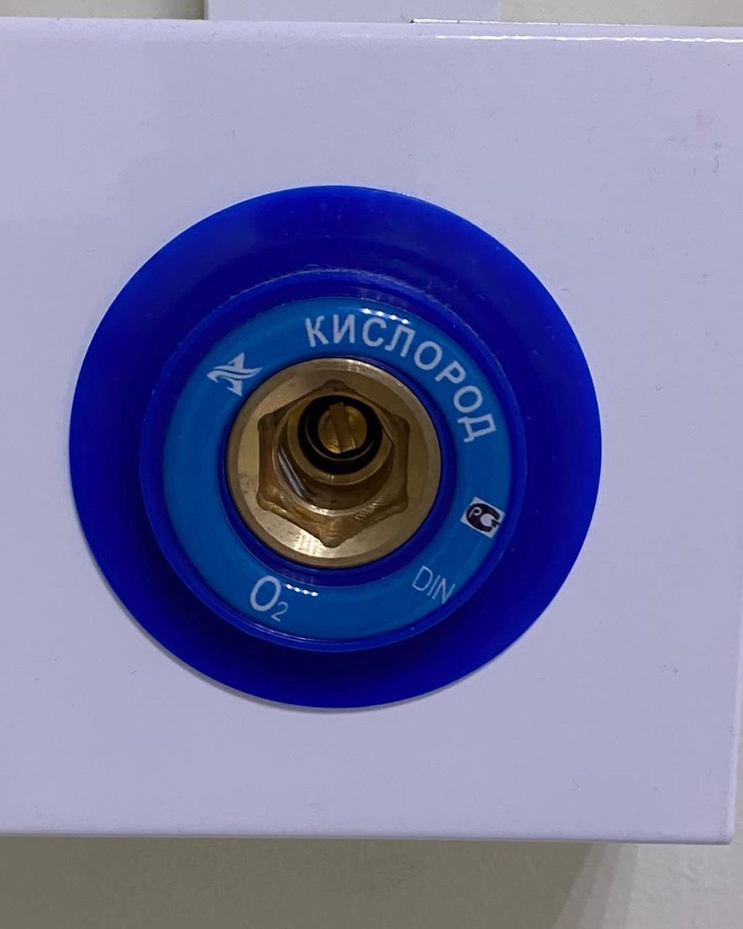 Экс-любовник Заворотнюк вместе с женой госпитализированы в Ялте: сил пока нет