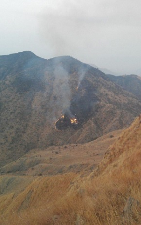 Авіакатастрофа в Пакистані: з'явилися фото та відео з місця аварії