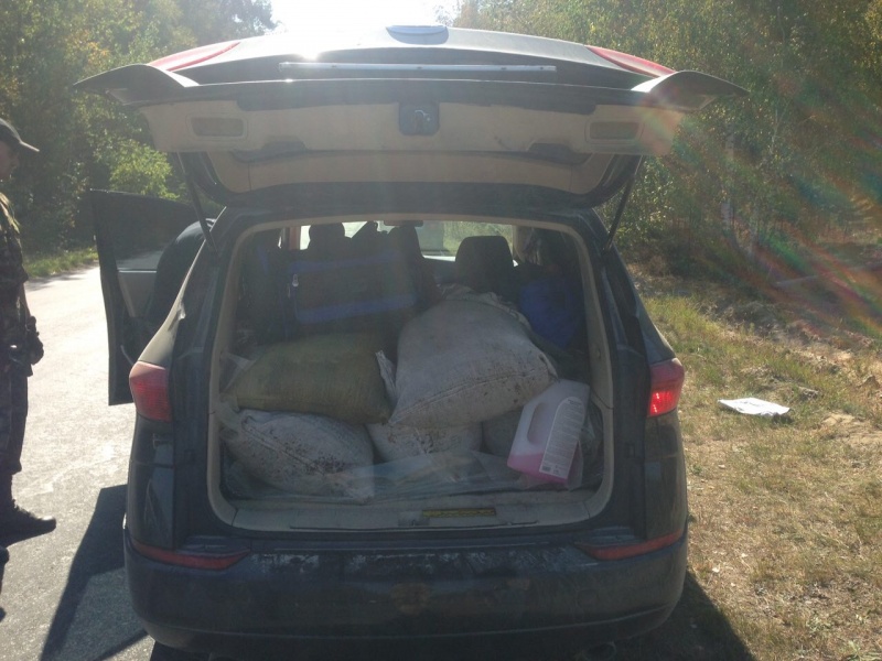 В Ровенской области изъяли партию янтаря на 1,5 млн гривен