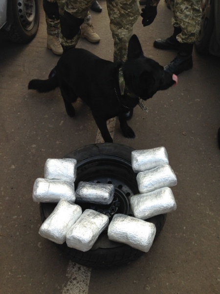 Українець намагався провезти через КПВВ 7 кг марихуани у запасці автомобіля