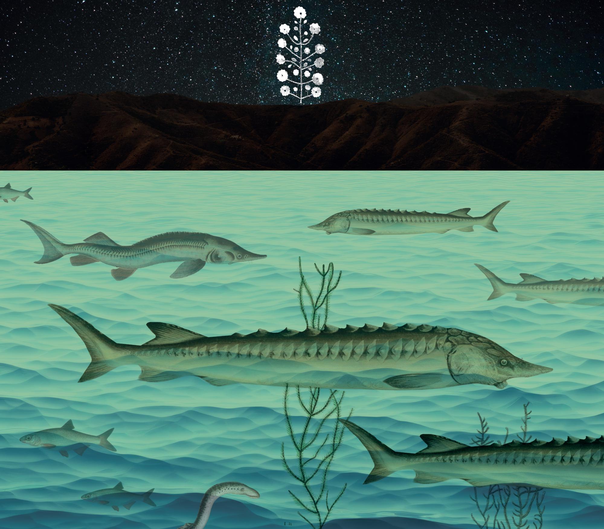 "До своєї природи": у Києві відкрилась виставка з любов'ю до української спадщини