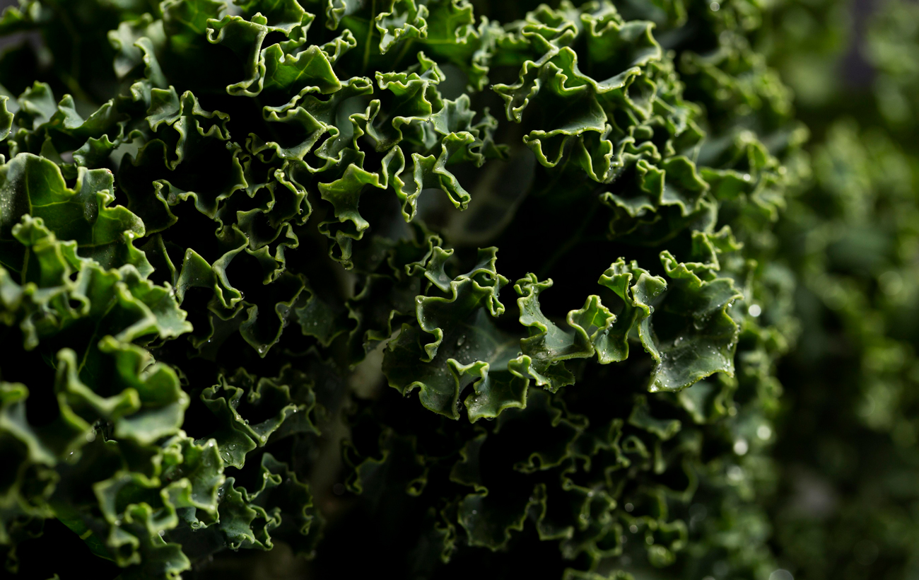 Эксперт назвала самую полезную капусту, которую нужно есть всем