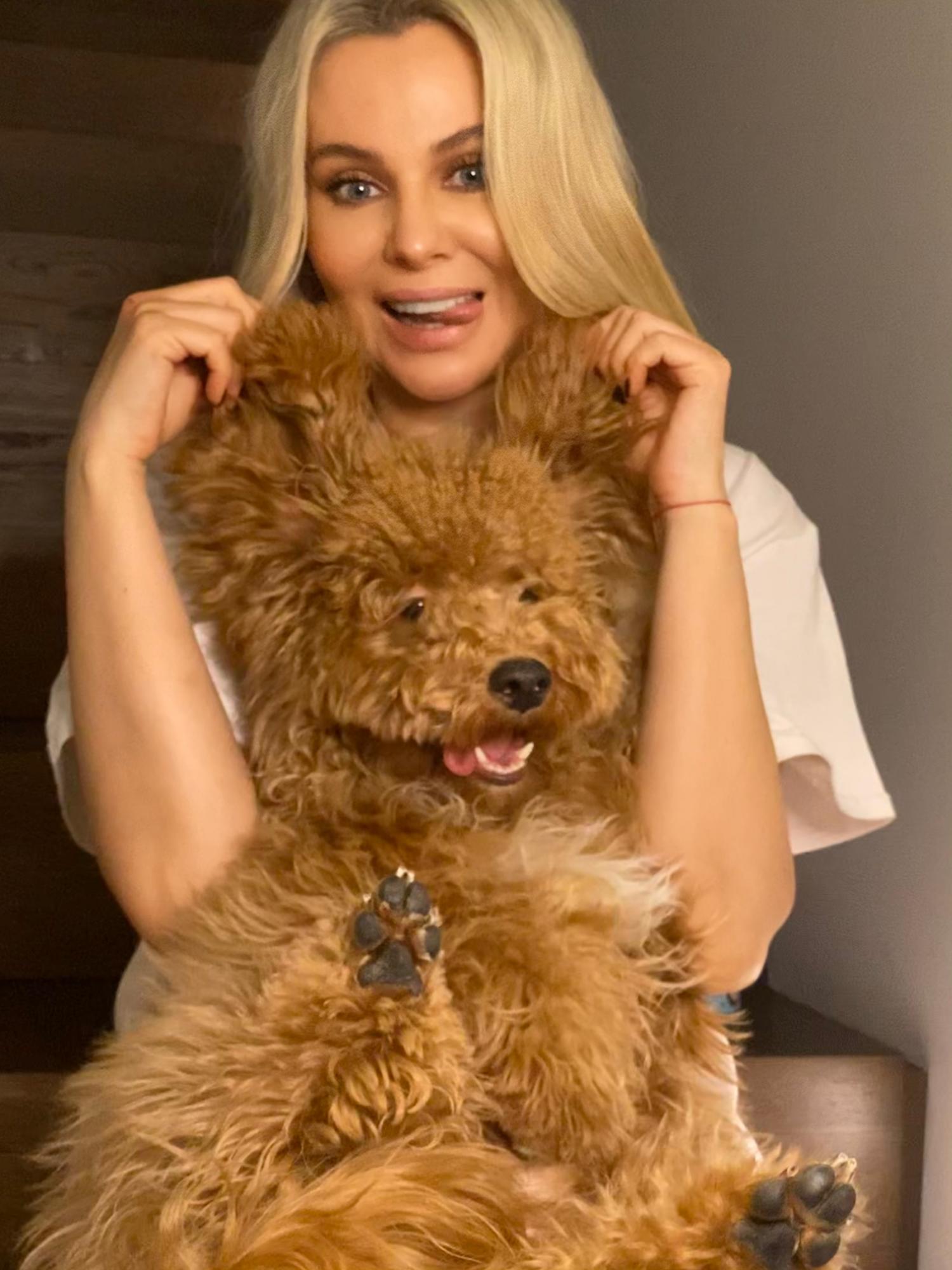 Украинские звезды похвастались своими любимцами: слепая кошка Буля и сразу 7 собак!