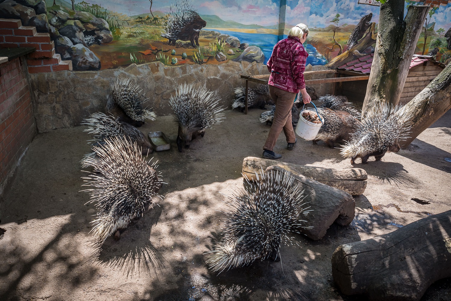 5 самых крутых зоопарков Украины, где есть фантастические животные