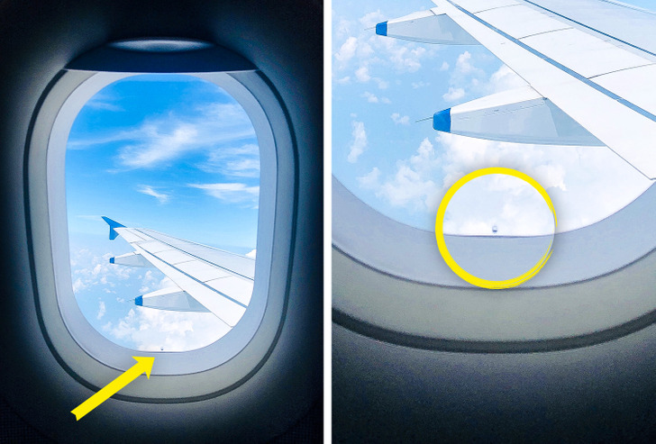 Ці звичні речі мають приховані функції, про які мало хто знає