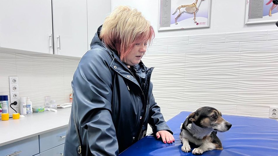 "За нею стоїть черга": в якому стані собака Ельза, яка лежала на руїнах будинку