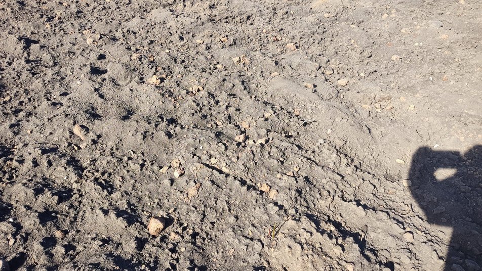 Под Тернополем случайно обнаружили древнее поселение трипольской культуры (фото)