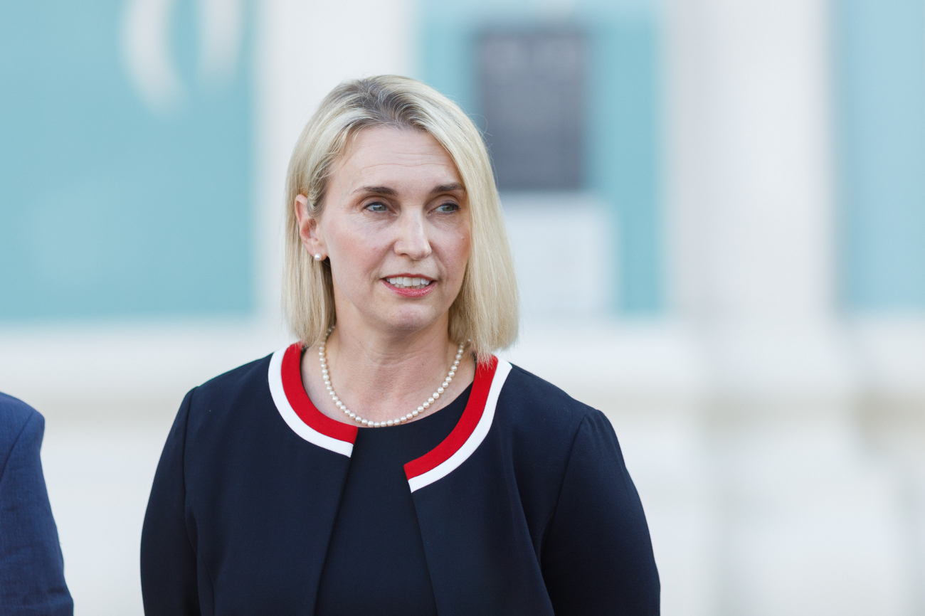 Брінк йде у відставку. Чому посол США звільняється та хто може її замінити